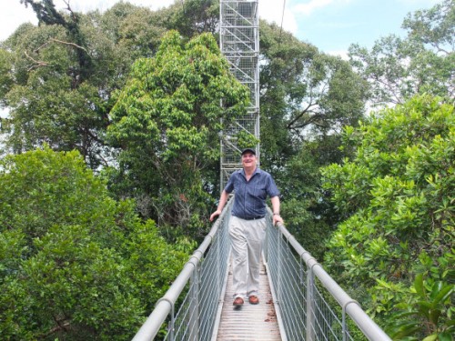 On the canopy walk