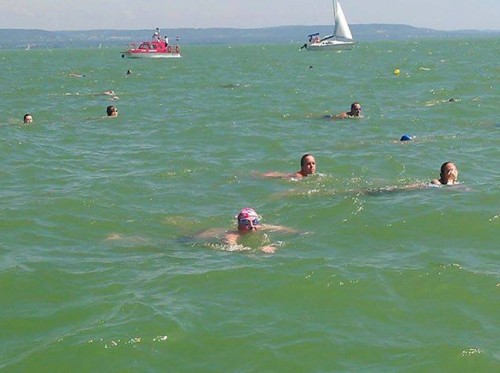 Swimming across Lake Balaton