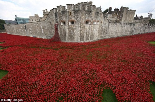 888,246 hand-made ceramic poppies have been installed at the foot of the Tower in London - each representing a British and Commonwealth soldier who died during WW1