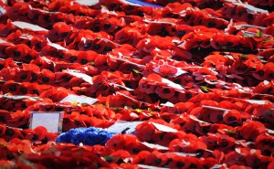 Wreaths of poppies laid during the Remembrance Sunday service at the Cenotaph in Whitehall, London to honour the Fallen.
