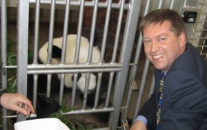 High Commissioner Paul Madden feeds a giant panda at the Adelaide Zoo