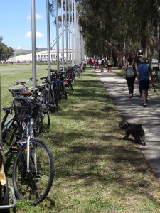 Bicycles line the path to Parliament House in Canberra ahead of the People's Climate March on 29th November.
