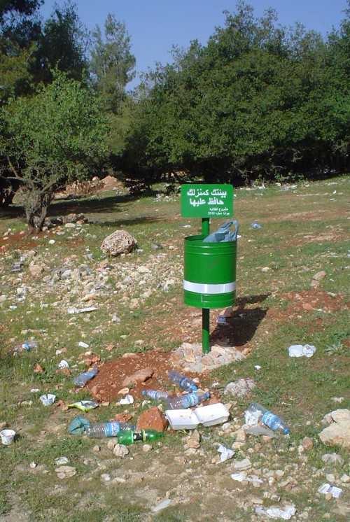 Litter surrounding a rubbish bin