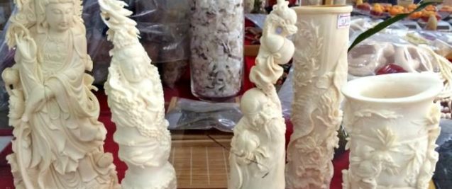 Illegal ivory trade in Laos