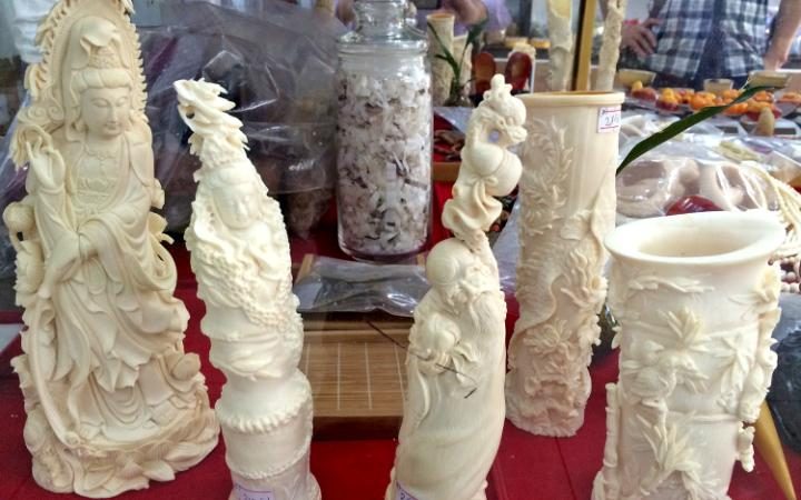 Illegal ivory trade in Laos