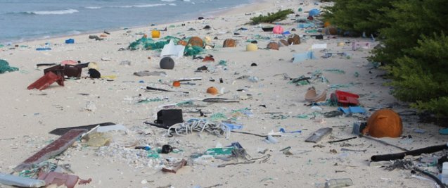 Plastic on Henderson Island