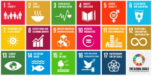 The 17 Sustainable Development Goals were agreed by 193 countries in New York last week.