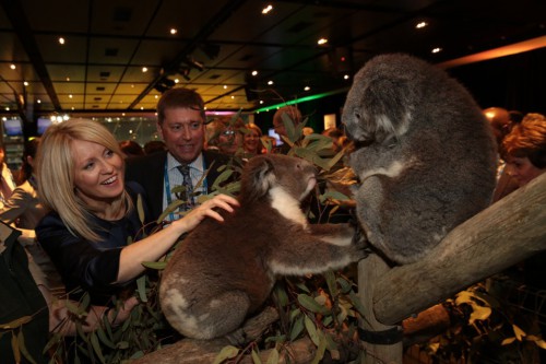 Rt Hon Esther McVey, HE Paul Madden, Koalas