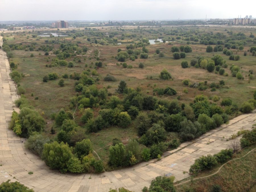 Vacaresti Natural Park Bucharest draws on the successful model of WWT London & support from Wetland Link network.